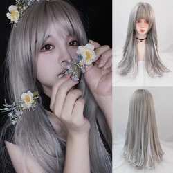 GAKA Long Synthetic Hair Gray Highlighting Hanging Ear Dyeing Micro-Volume Curly Wigs