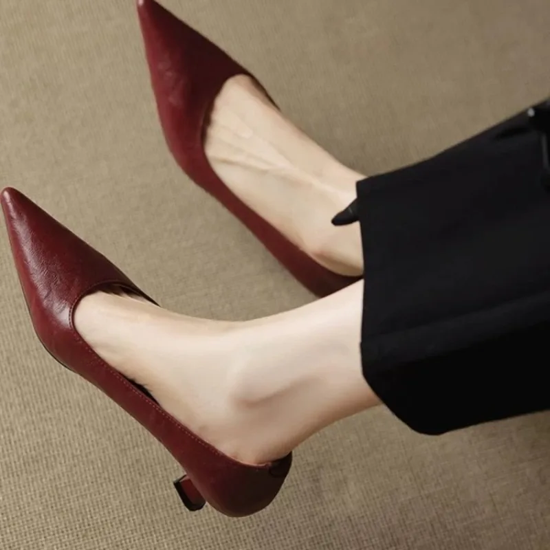 Pointed Toe Women Heeled Shoes Elegant Mary Janes Pumps Dress Lolita Fashion Shoes Autumn Woman Sandals 2025 Female Zapatillas