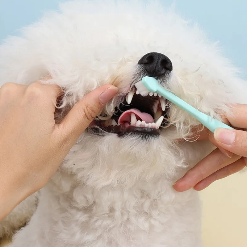 Dog Toothbrush Dog Teeth Cleaning 360 Degrees Brush for Dogs Cat Oral Cleaning Soft Hair Pet Toothbrushes Long Handle Dogs Brush