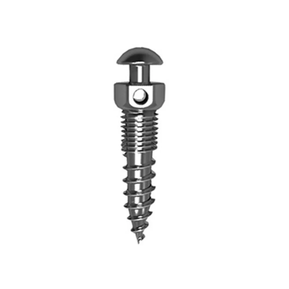 Denta Orthodontic Mini Screw Titanium Denta Mini Screw