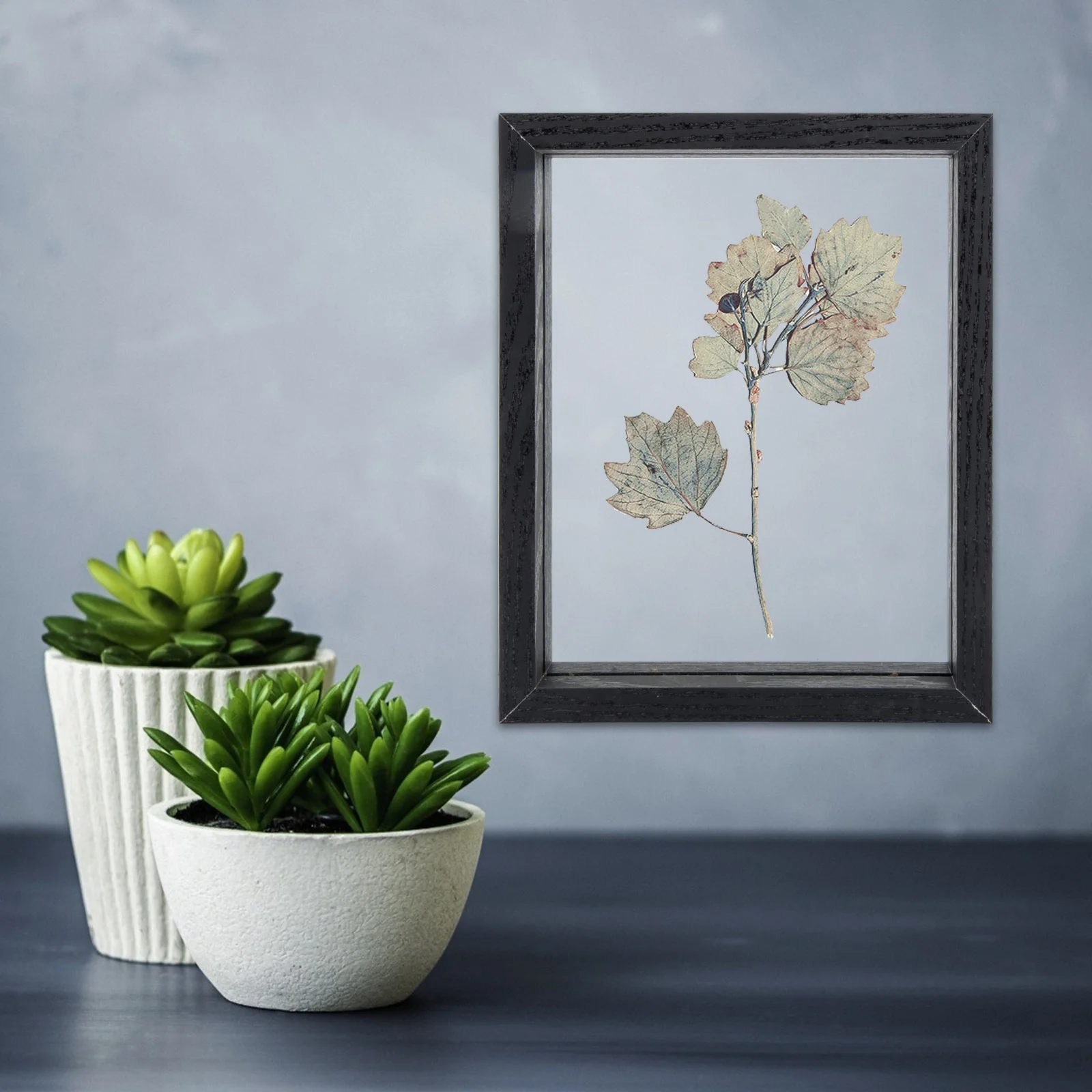 

Pressed Flower Storage Plant Display Frame Case Dried Butterfly Pressing Framed