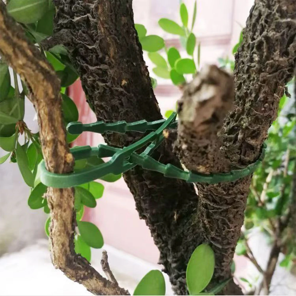 Vine Climbing Plastic - Green Reusable Plant Ties Adjustable Plastic