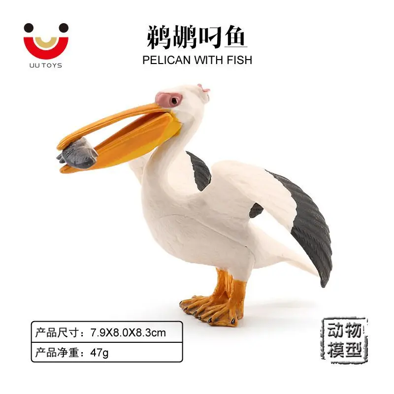 Simulation wildlife model children's toys birds gannets pelicans fish science and education props home ornaments