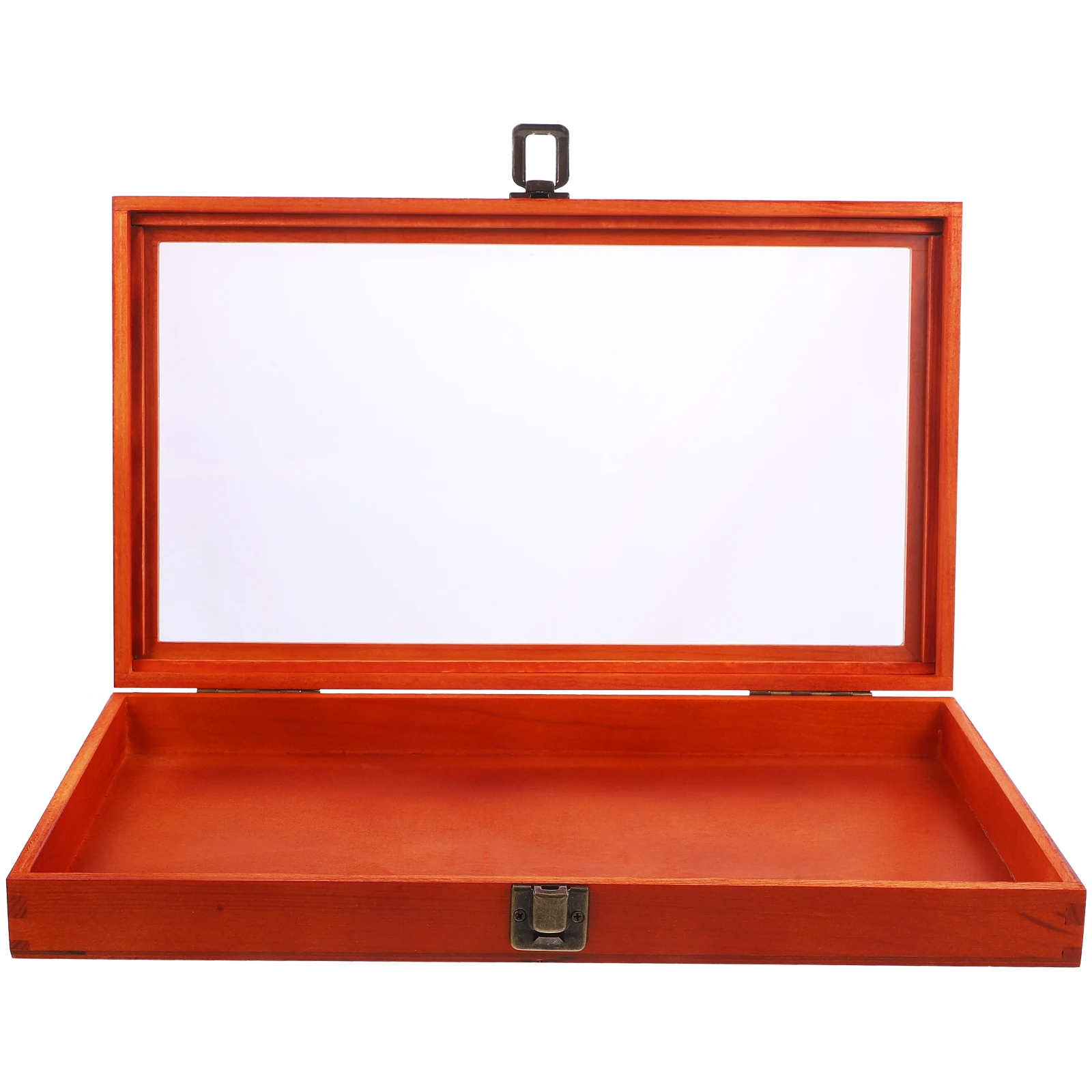 

Wooden Specimen Display Box with Transparent Lid Rectangular Vintage Collection Case for Crafts Jewelry Storage Display