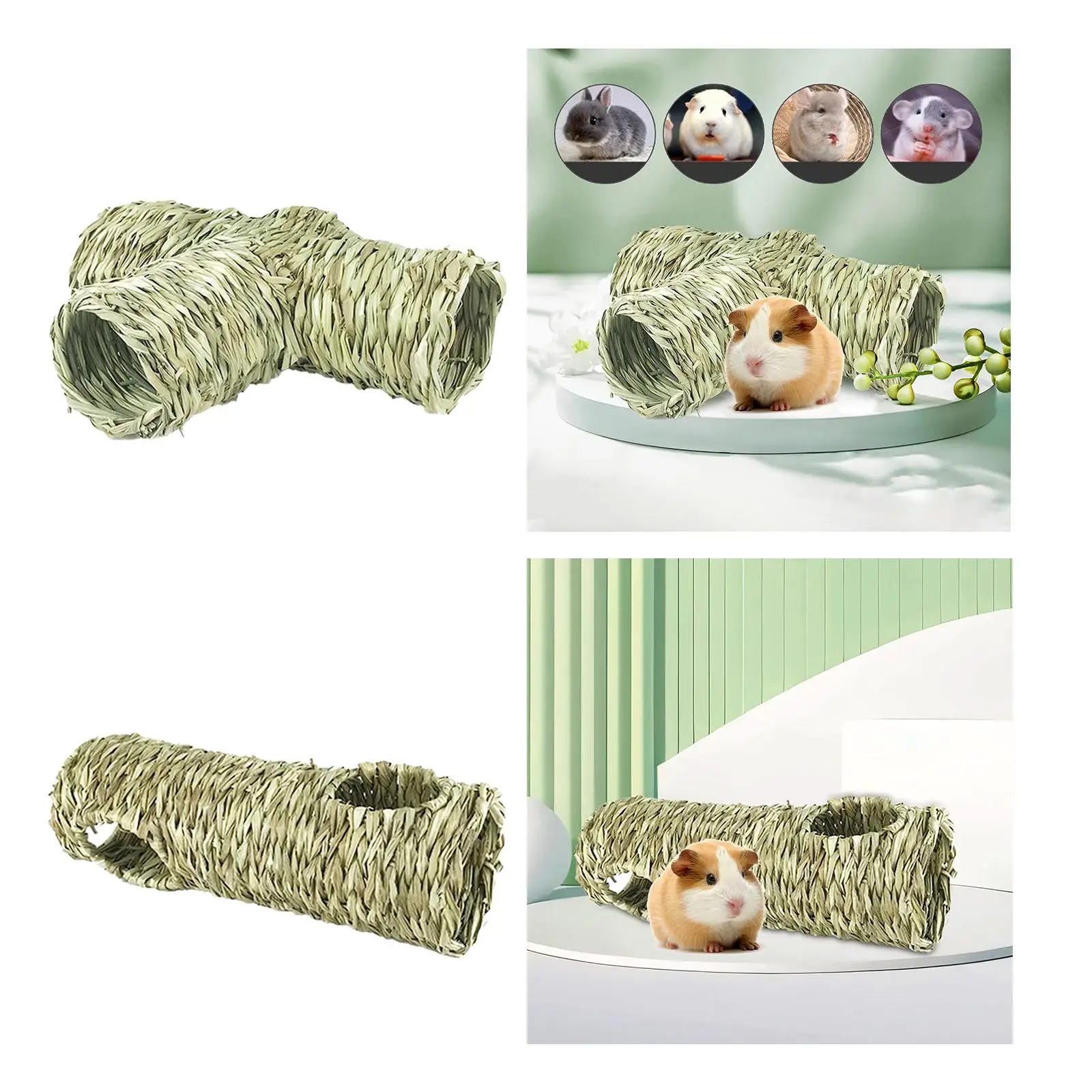 Thumbnail 3 - #42 Hamster Cages Comparison Guide