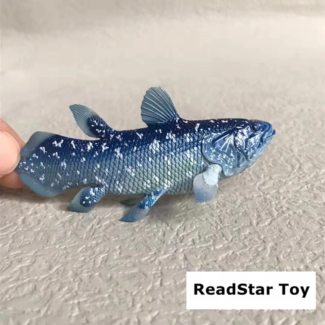 

маленькая фигурка из ПВХ режимL Latimeria chalumnae fish