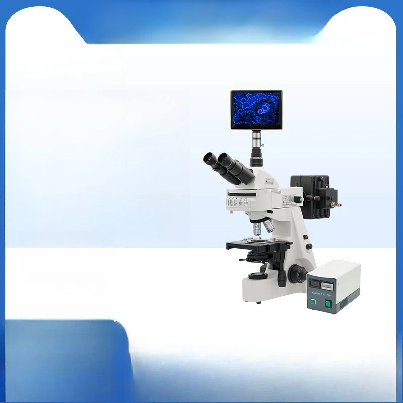 

Fluorescence Digital Biomicroscopy Laboratory