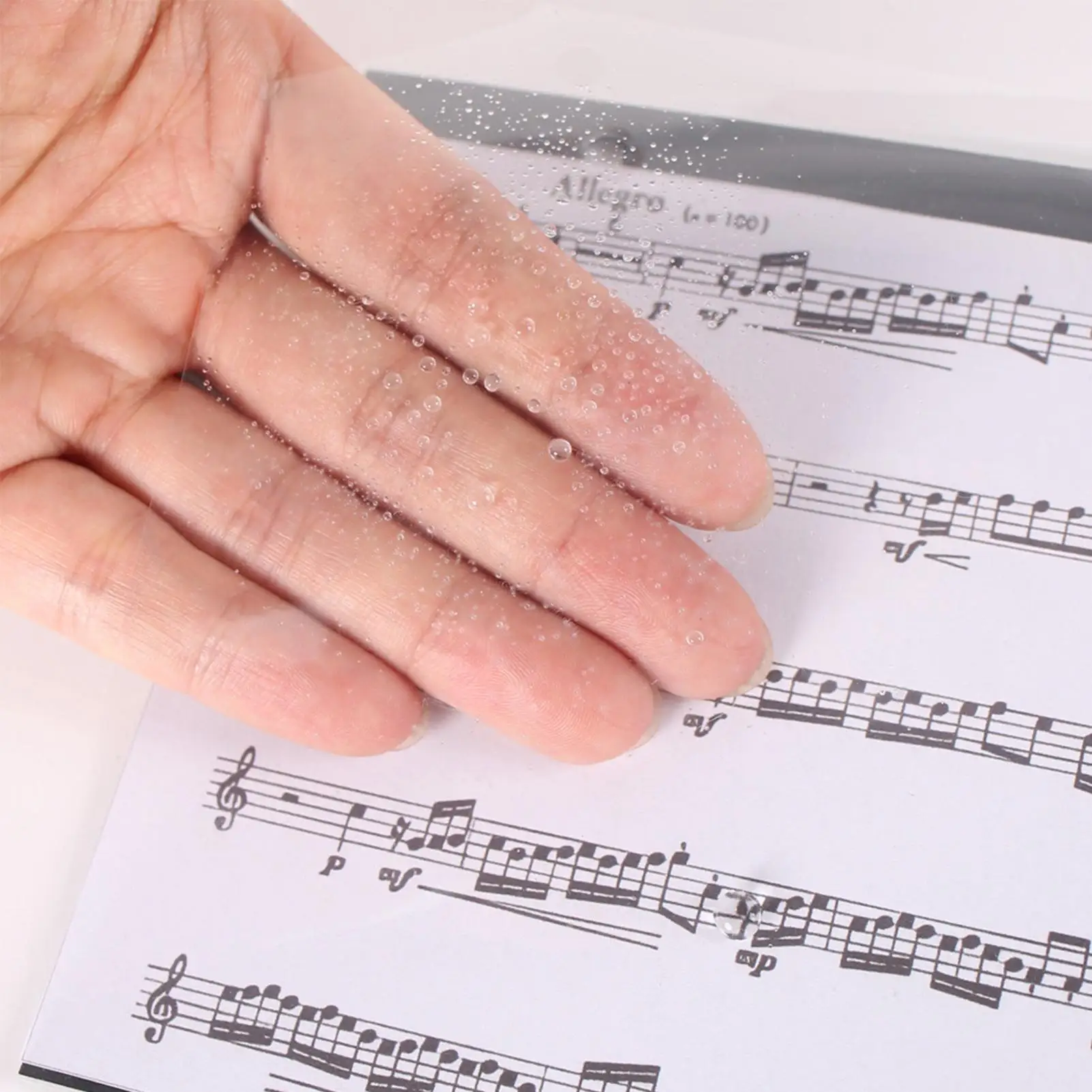Porte-partitions double face pour trompette, dossier pour partitions de musique d'orchestre de fanfare, pour spectacles scolaires en extérieur et sur scène