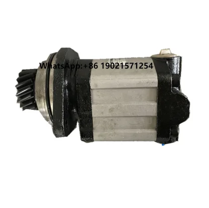 

Original Truck Crane Spare Parts Steering Pump 803000458