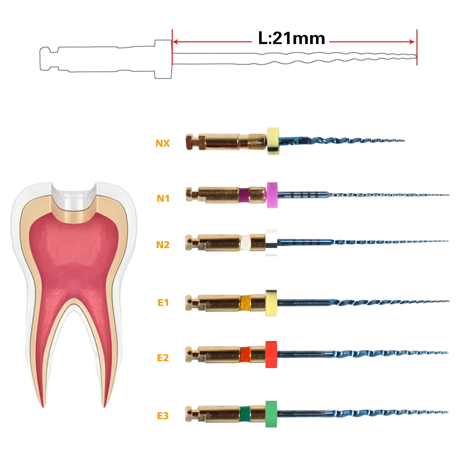 SANDENT Dental Root Canal Treatment dental cannal File/Niti-file/Lima Endo-Canalare Rotary Universal 21MM 1 Pack(6pcs)