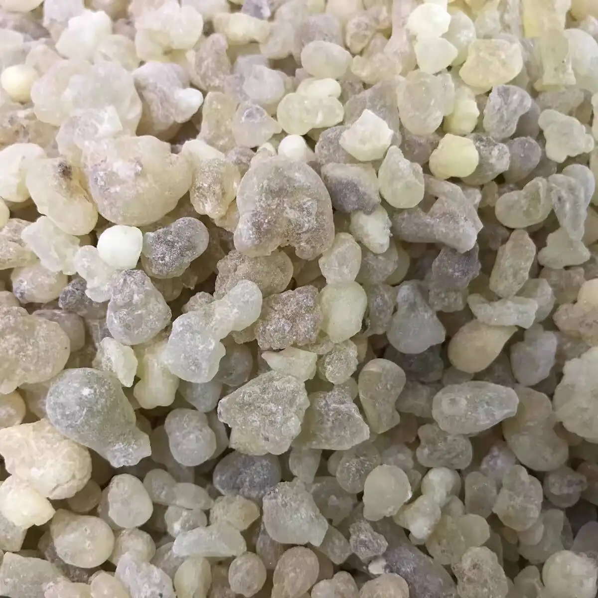 High Quality Natural Oman Organic Frankincense Hojari Green Frankincense Burning Well Resin Fragrance