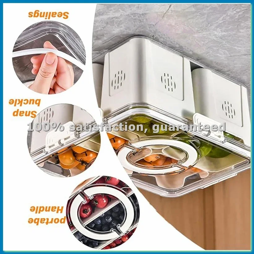 Fruit Tray for Large Picnic Refrigerator Food Storage Transparent Snack Box in Kitchen 4 Grids-ABLL