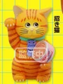 Lucky Cat