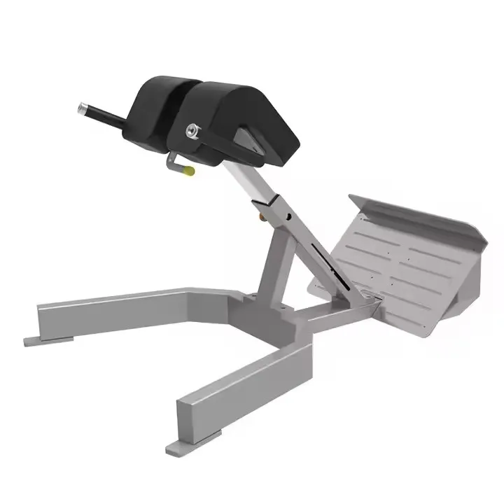 Entrenadores de músculos abdominales comerciales Equipo de fitness - Silla romana plegable con extensión trasera de acero y metal
