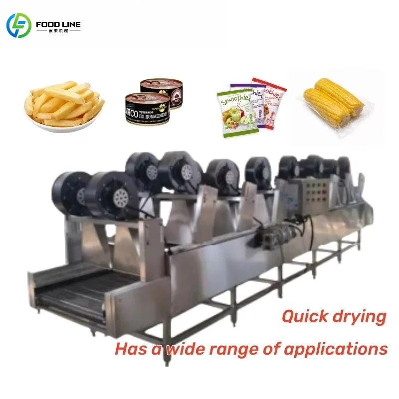 Customized Stainless Steel Fruit Vegetable Drying Conveyor Belt Strong Wind Air Dryer Continuous Conveyor Device