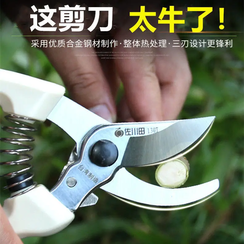 Forbici, rami di albero, forbici da potatura, forbici per fiori a risparmio di manodopera importate per la casa, forbici da giardino