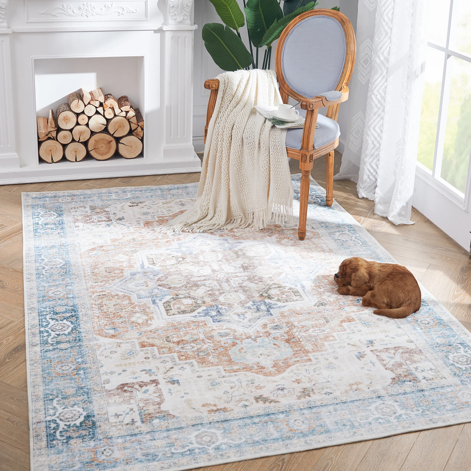 Vintage Persian Medallion Area Rug Blue Orange Grey Abstract Mat Living Room Bedroom Foyer Entry Study Office Dining Table Couch