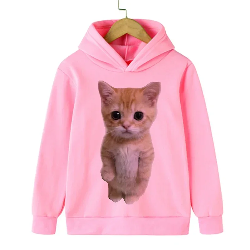 

Детские свитшоты с рисунком кошек