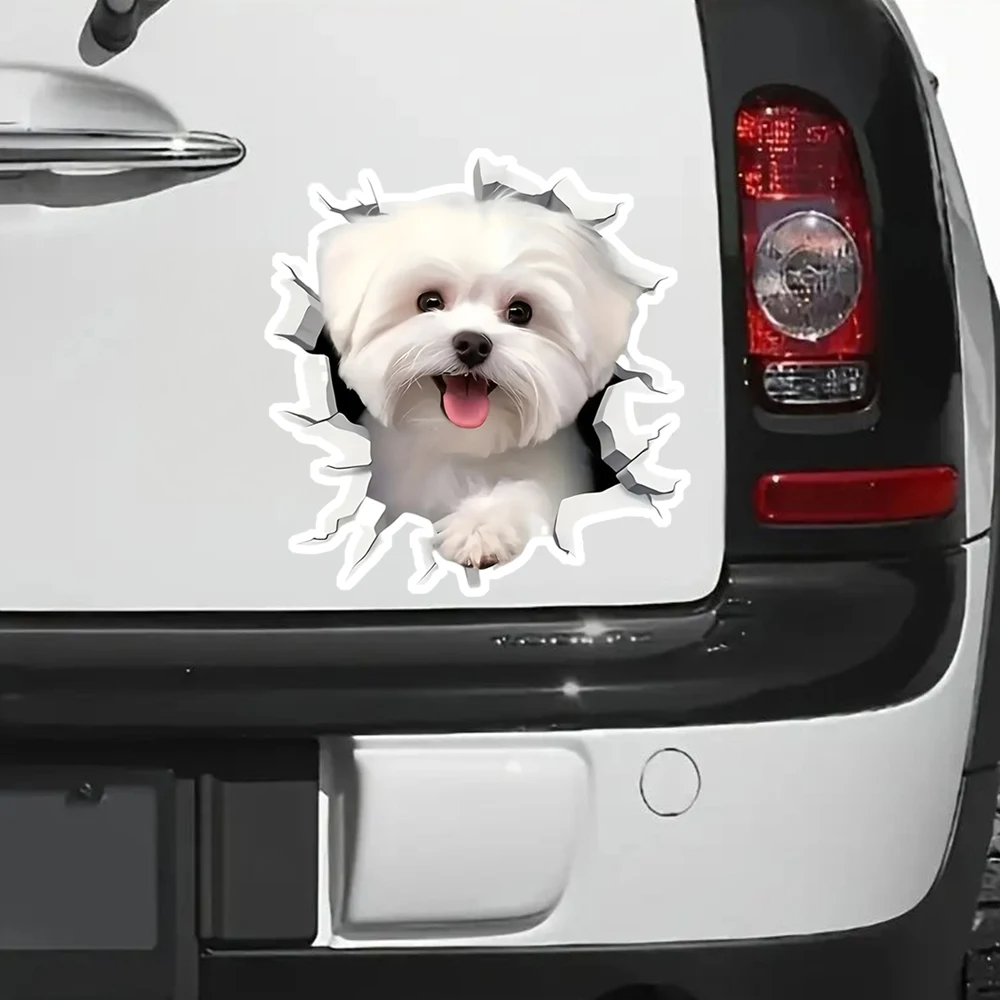 12x13cm Cute White Maltese Dog Waterproof Vinyl Car Decals For Window Bumper Exterior Scratch Block Decor Accessories - view 2