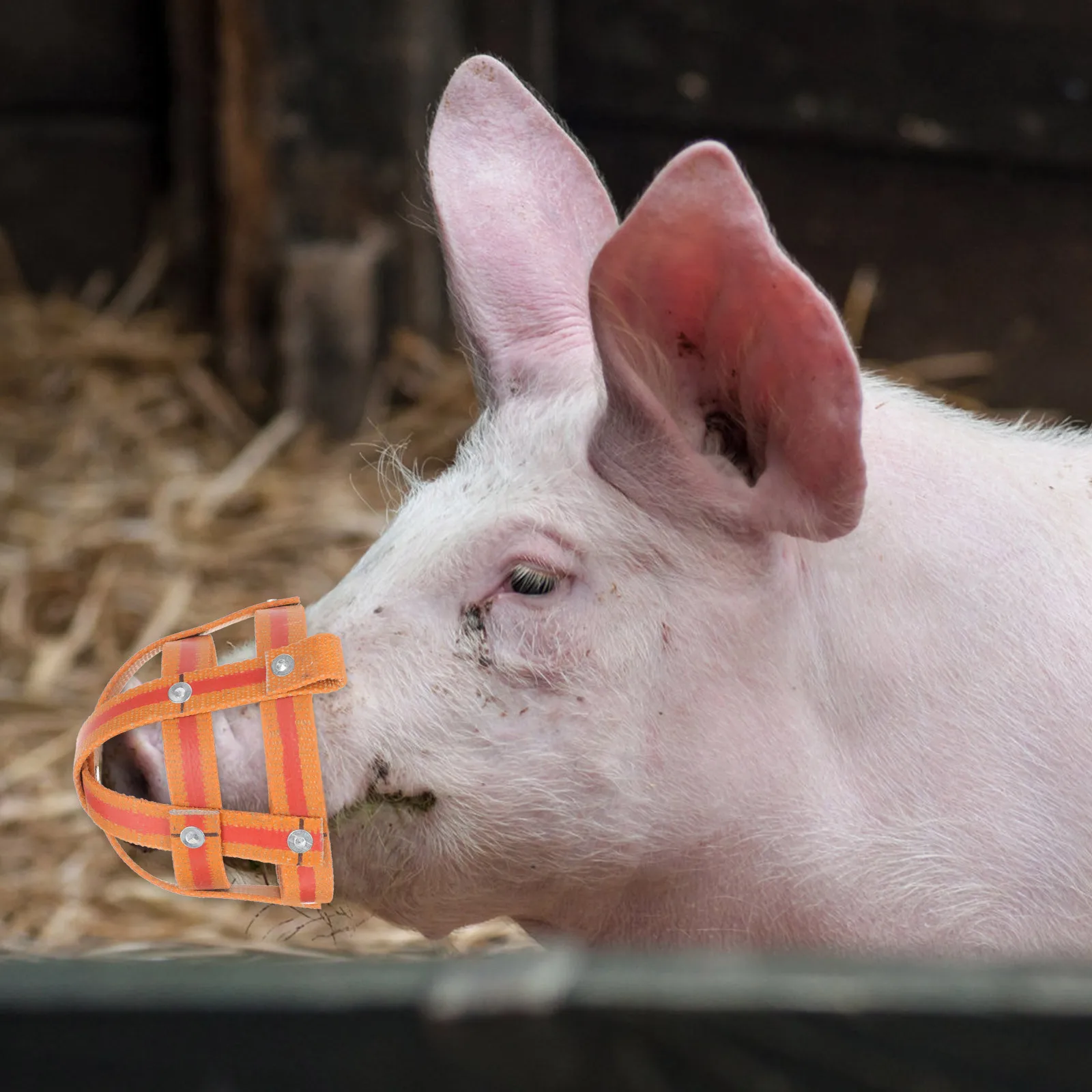 

Anti-Biting Pig Muzzle Breathable Mesh Design For Feeding Reusable Farm Livestock Mouth Cover Portable Swine Muzzle