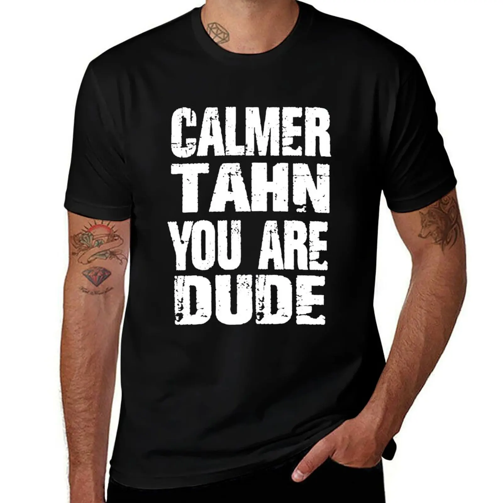 shirts t T-Shirt 100% graphic men Calmer shirt cotton oversize mens shirts t T-Shirt Dude Are You Than t