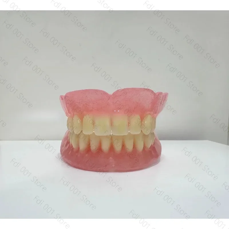 Full Mouth Elderly Teeth, Full Mouth Dental Model Display Products, Full Mouth Dentures, Removable Dentures