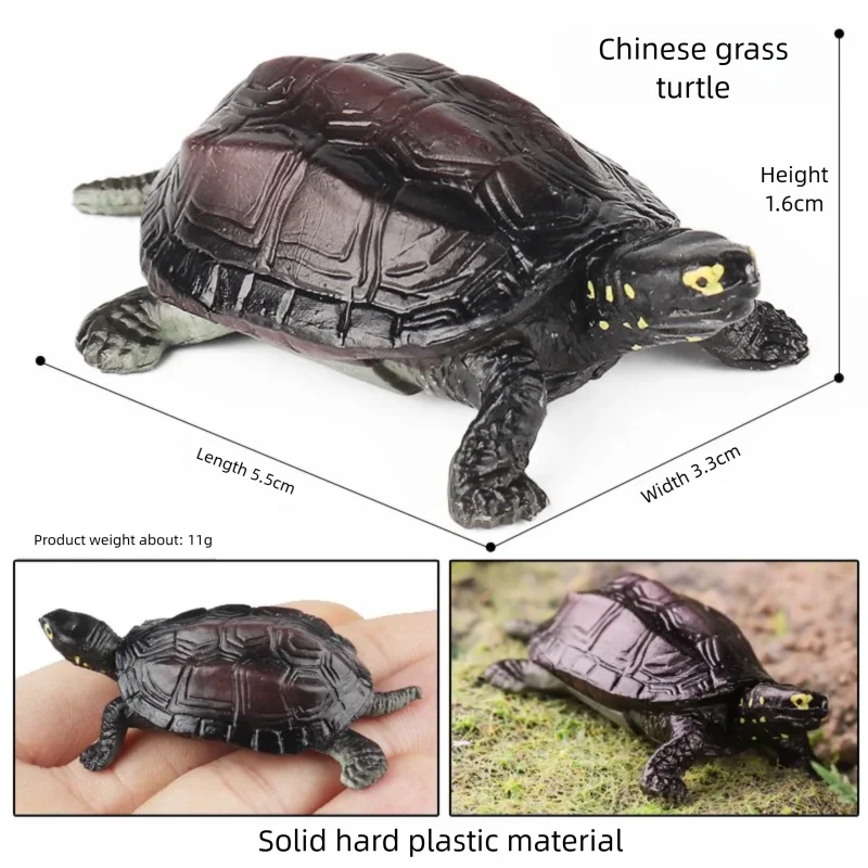 Oenux Simulations-Schildkröten-Set: Alligator, Galapagos-Schildkröte, Chinesische Weichschildkröte Figuren und Puppen – Detail 29