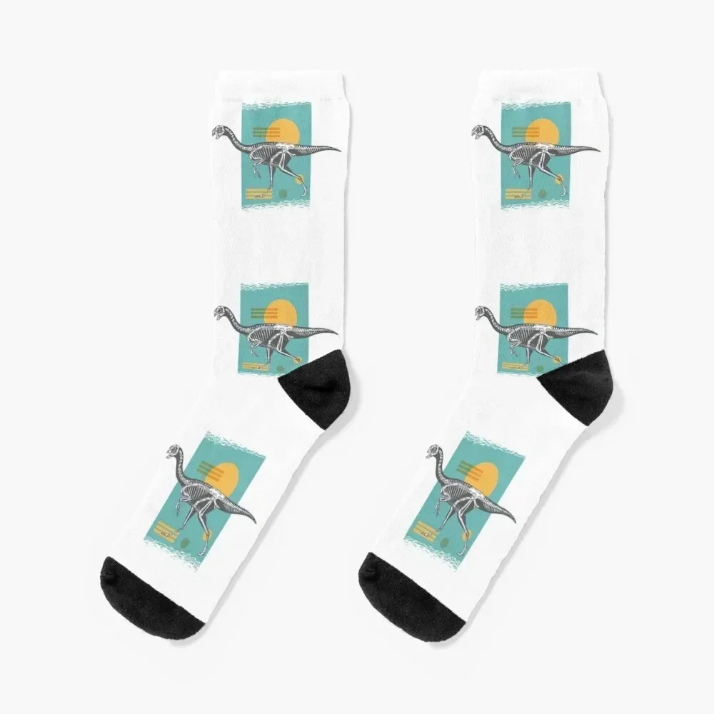 Oviraptor dinosaur Socks warm winter Stockings compression christmas gift Boy Socks Women's