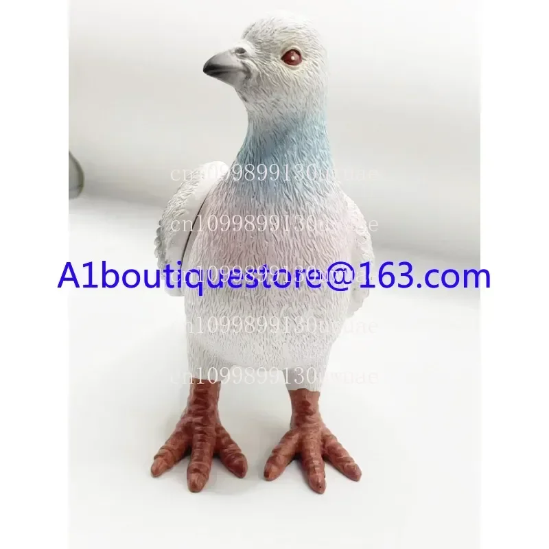 

Pigeon bag