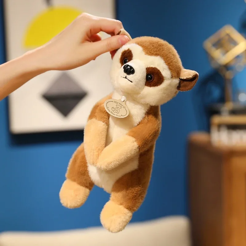 لطيف نابض بالحياة الميركات ألعاب من القطيفة لينة محشوة البرية ليمور دمية لطيف محاكاة دمية على شكل حيوان مضحك الأطفال هدية عيد ميلاد