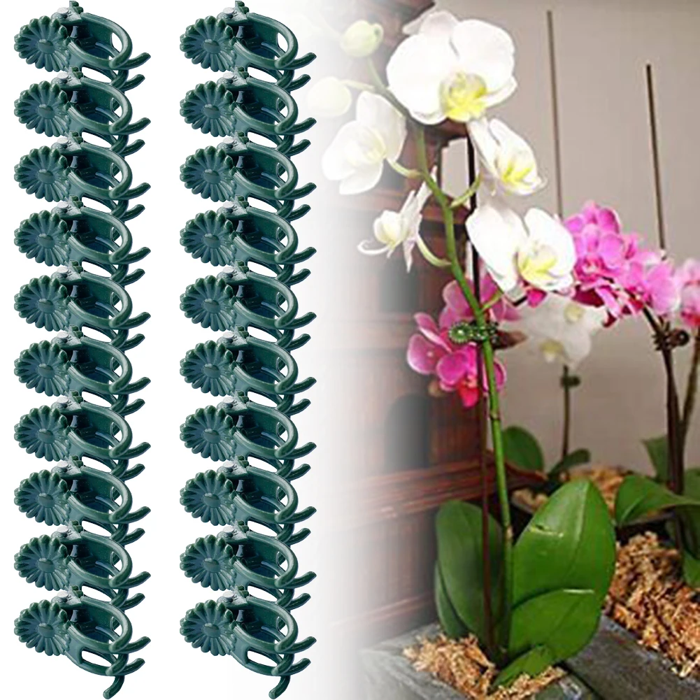 20Pcs Orchid Stem Clip Plant Support Vine Plastic Clips Flower Grow Branch Clamps Garden Plant Support Fixture Bracket