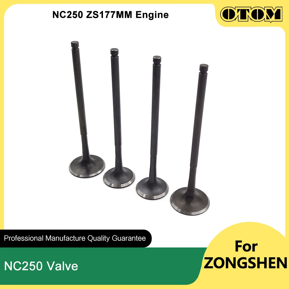 

OTOM ZS177MM мотоциклетный комплект штока впускного и выпускного клапана для ZONGSHEN NC250 KAYO BOSUER HENGJIAN KEWS AVANTIS MOTOLAND GR7 GR8 BRZ