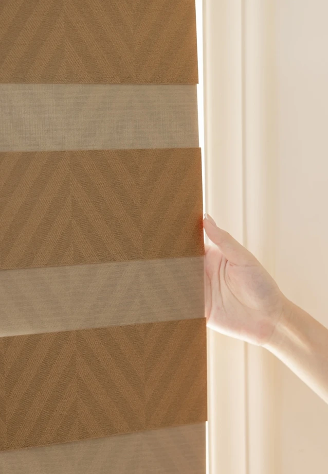 ZSTARR 2 Years Warranty Day Night Smart Automated Blackout Double Layer Fabric Window Blinds Shades  Zebra Blinds for House