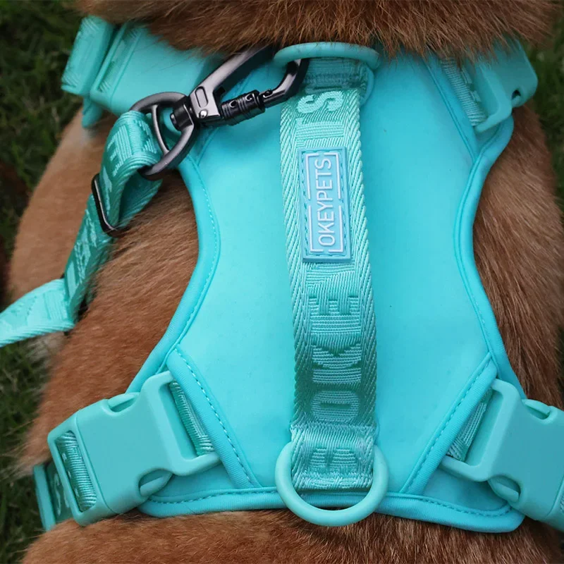 New Designer Fashion Sport  Soft Breathable Mesh Simple Nylon Dog Harness