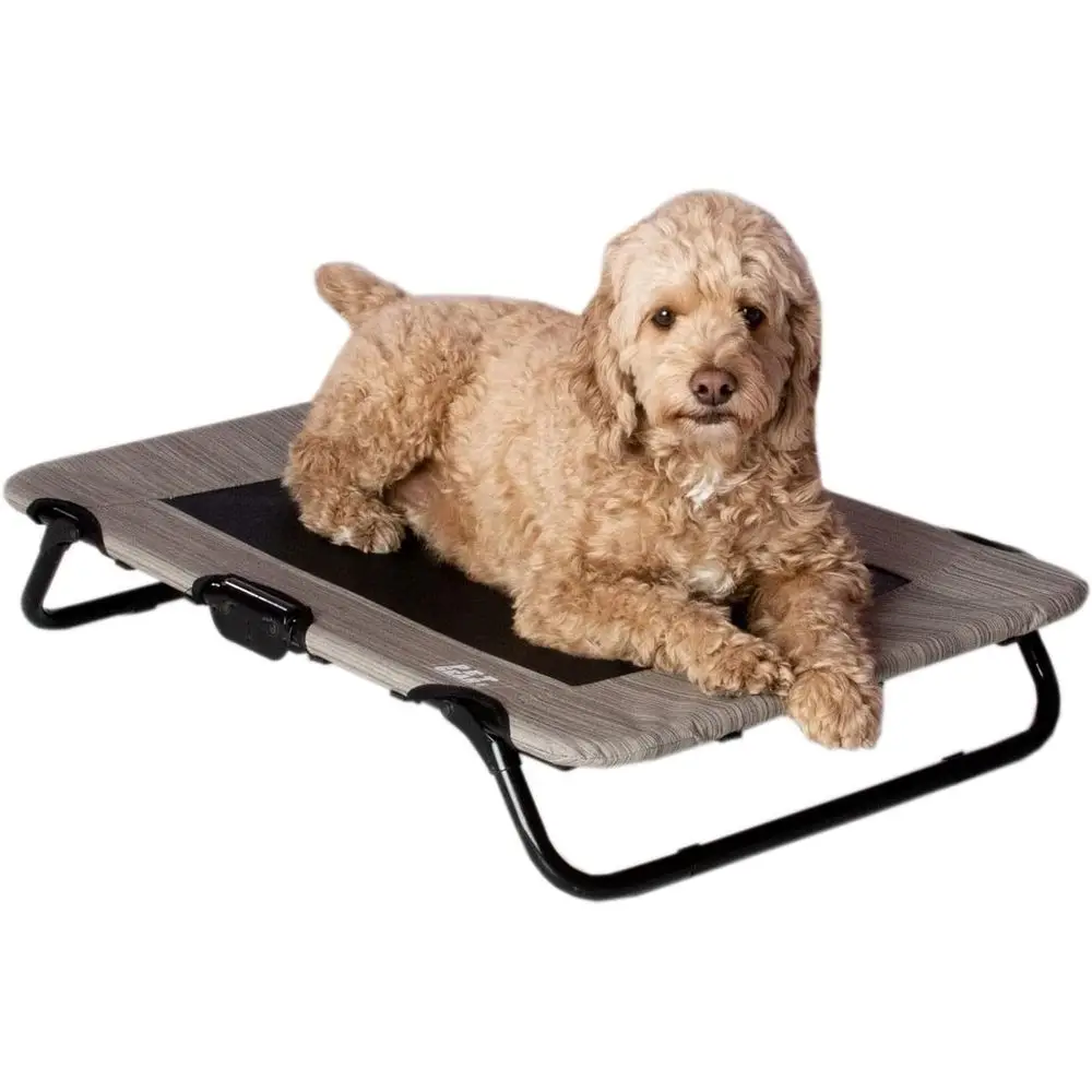 

Elevated Pet Cot with Cooling Mesh, Portable and Lightweight, 30 Inch, Harbor Grey