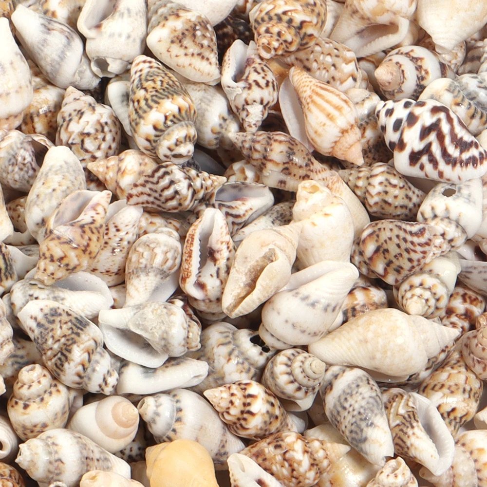 Natural Sea Snail Accessories With Holes Small Conch Beads Women for DIY Jewelry Parts Charm Bohemia Bracelet Necklace Wholesale