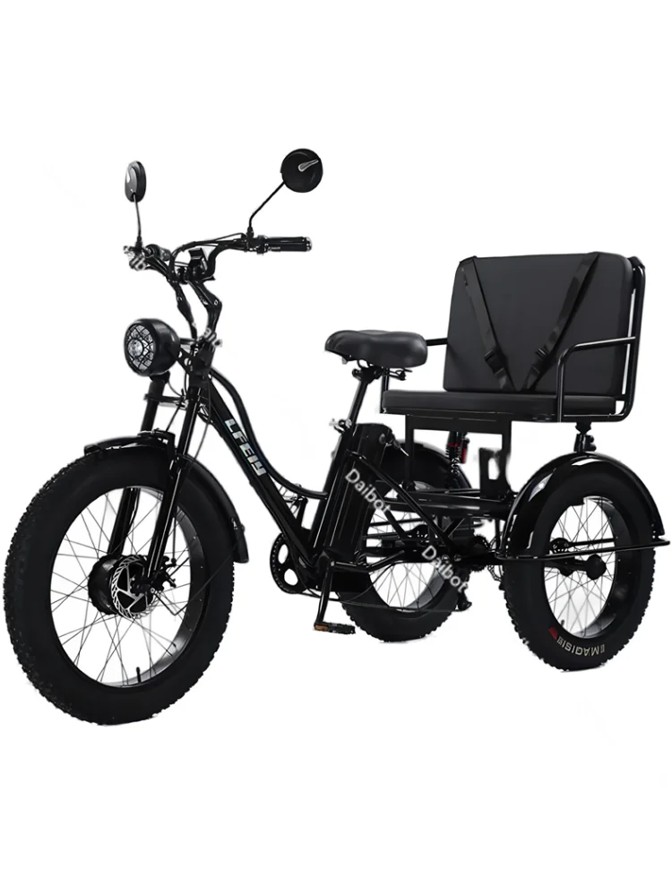 AliExpress Daibot 3 Wheels Off Road Electric Bicycle All Terrain With Back Seat For Adults 750W Fat Tire Powerful Electric Bike With Basket