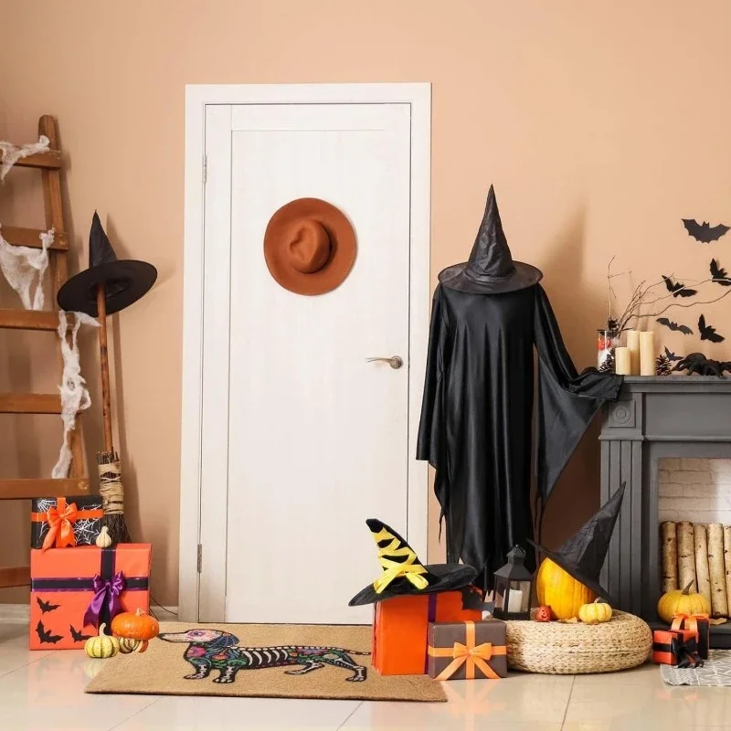 Front door mat, sausage dog door mat, colorful skeleton dog themed kitchen decorationGoods in stockGoods in stock