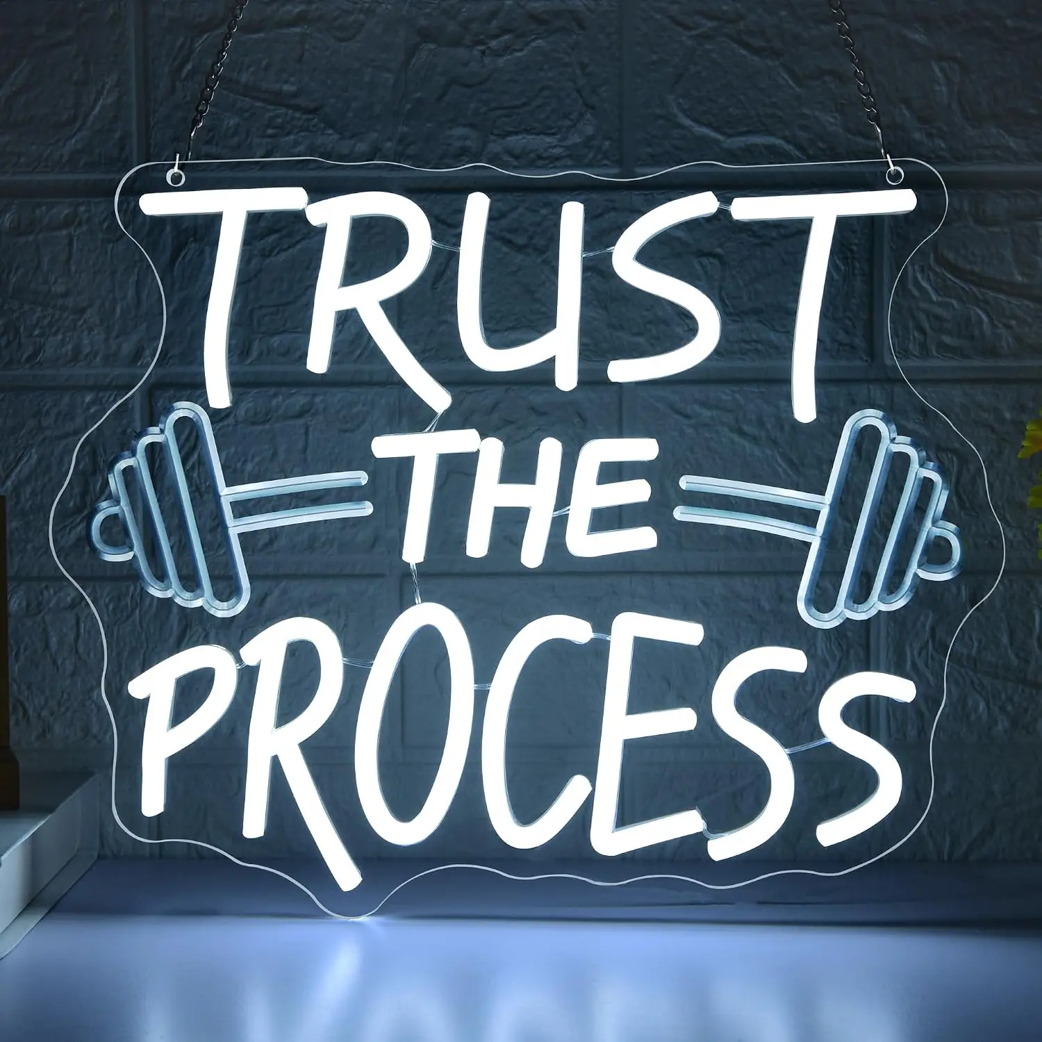 trust-the-process-led-neon-sign-usb-neon-light-for-home-gym-workout-room-garage-art-wall-decor-fitness-enthusiast-gift