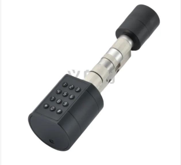 

Умный цилиндр замка для домашней двери, офиса, стеклянная дверь, дистанционный электронный пароль