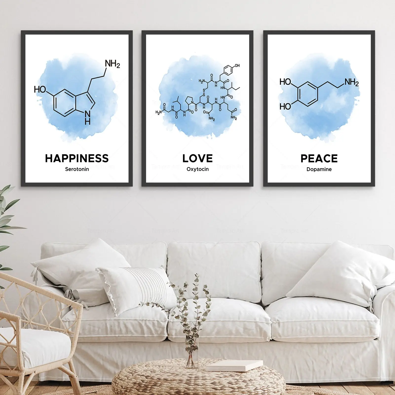 Oxytocin Dopamine Molecular Structure Picture Poster School Lab Wall Art Canvas Painting Print Chemistry Science Classroom Decor