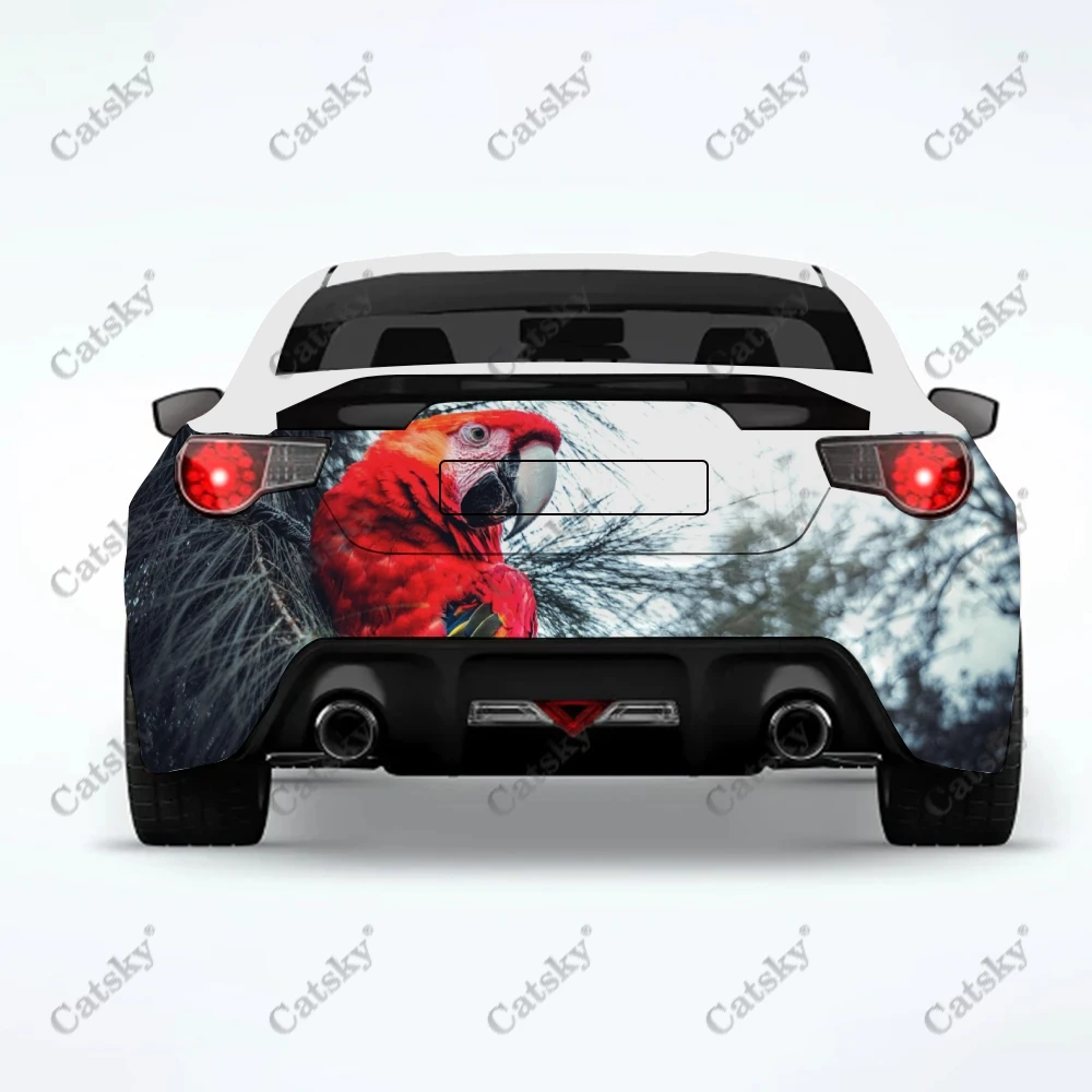 Parrot animal Car sticker rear car rear appearance modification package suitable for car truck sticker