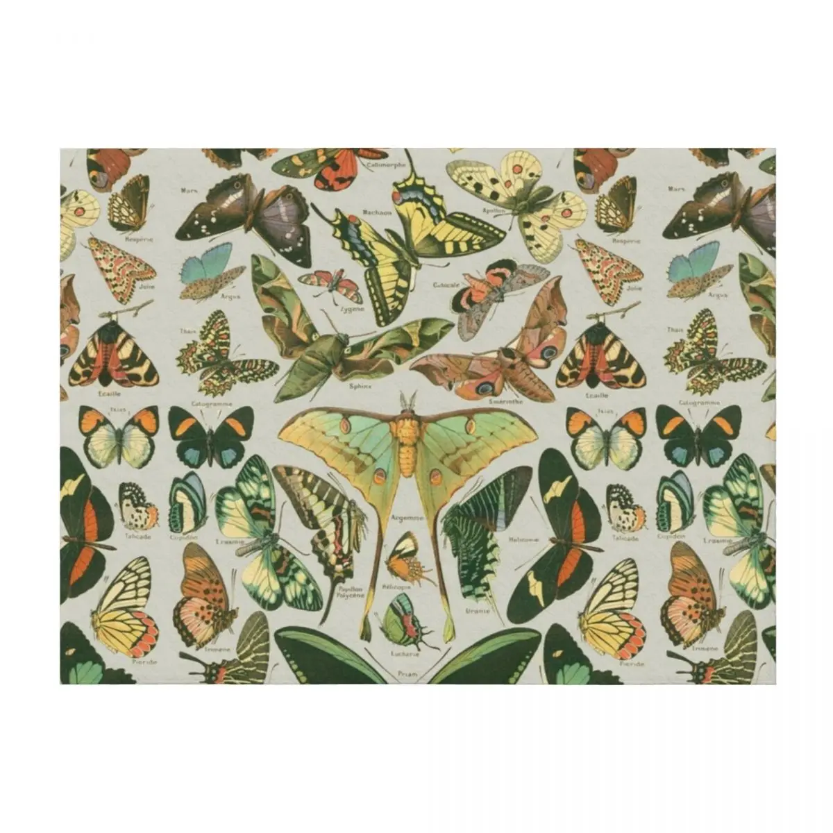 

Butterfly Pattern Throw Blanket Nap warm winter Summer Custom Blankets
