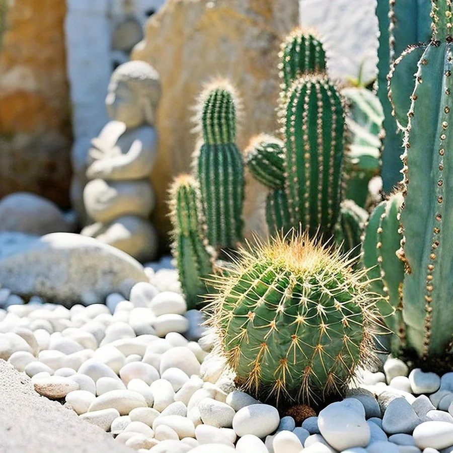 200/400 جرام الأبيض عالية مصقول الحصى الطبيعية 2-3 سنتيمتر فناء المشهد الديكور الصخور المزهريات النباتية خزان الأسماك JXB #3