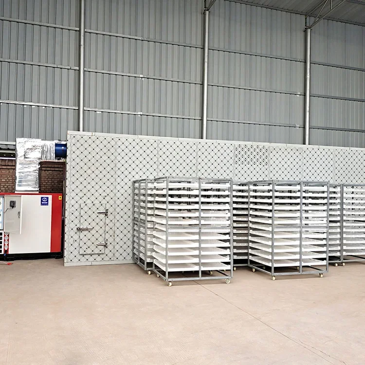 Banana Chips Drying Machine Fruit Drying Machine Food Dryer Machine