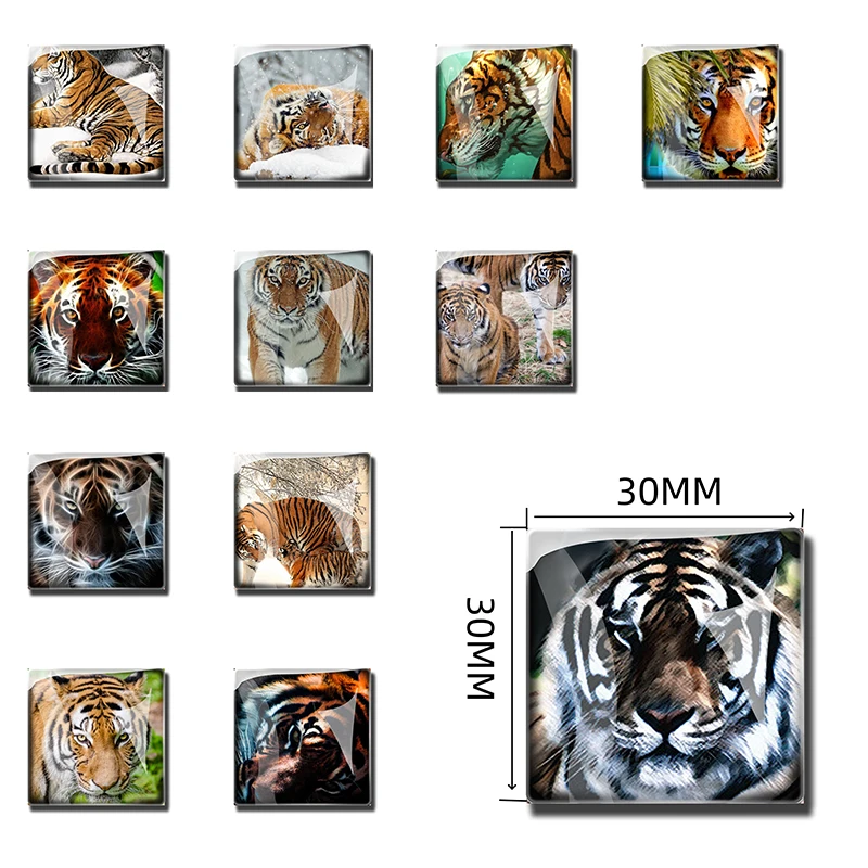 Tiger Series Square Glass Refrigerator Magnetic Stickers Home Accessories Majestic Powerful Brave Fearless Gifts for Men