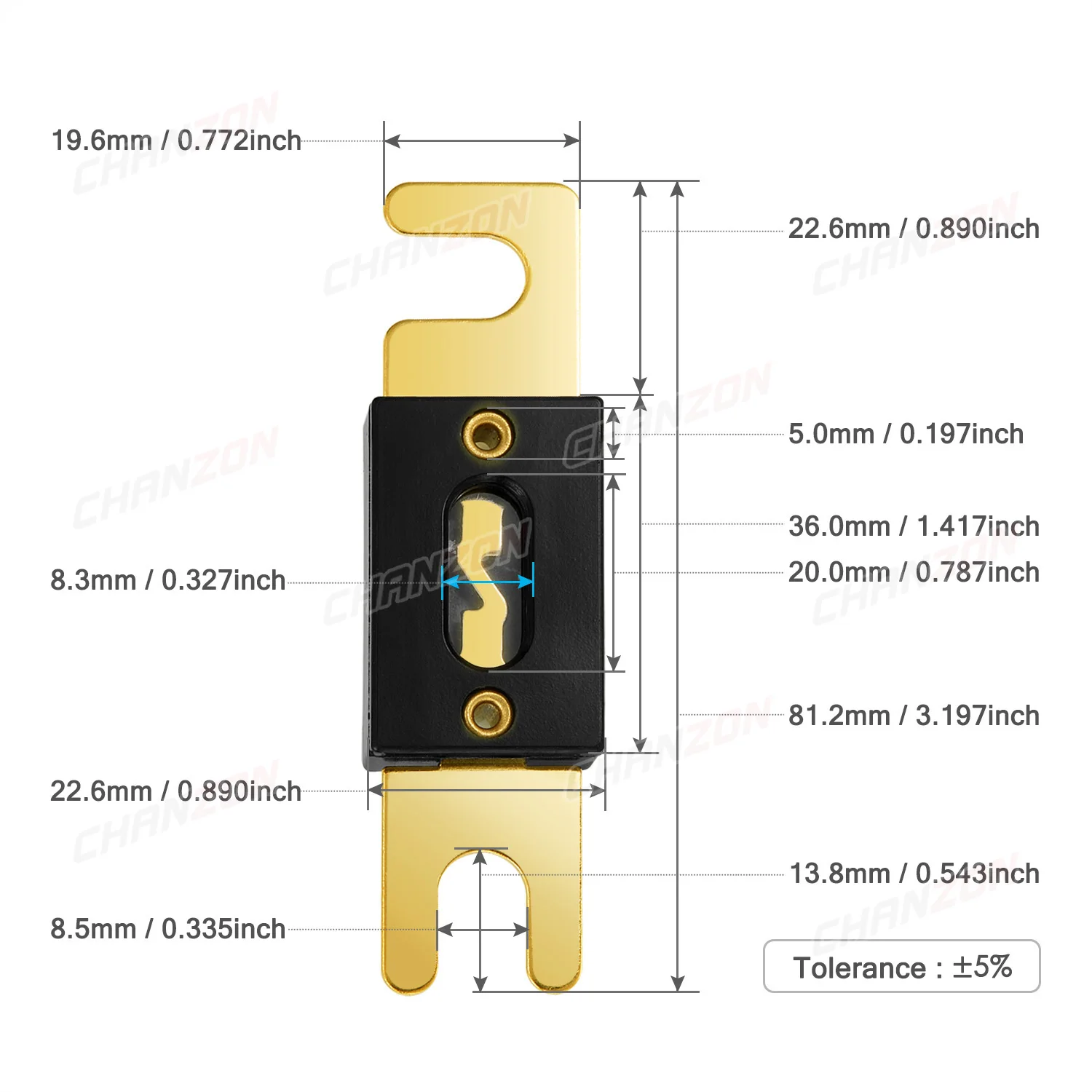 5pcs Gold Plated ANL Bolt Auto Fuse 80 100 150 200 250 300 Amp A 80A 100A 150A 200A 250A 300A 5V 12V 24V 32V Bolt-on Audio Fusee