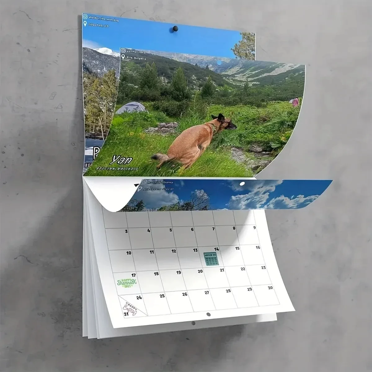 Welpe in Steppe Kalender Wandkalender 12 Monate lustige Wand kunst Gag Geschenk Streich Kalender ein gutes Geschenk zum Geburtstag