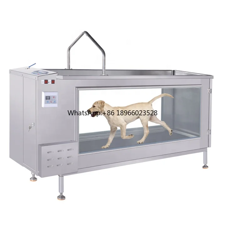 Hot Sale Pet hydrotherapy treatment underwater heating running treadmill for small animals training and recovery