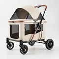 C19 beige